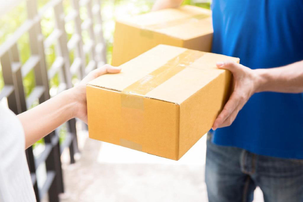 Teseo Hire Collection & Return